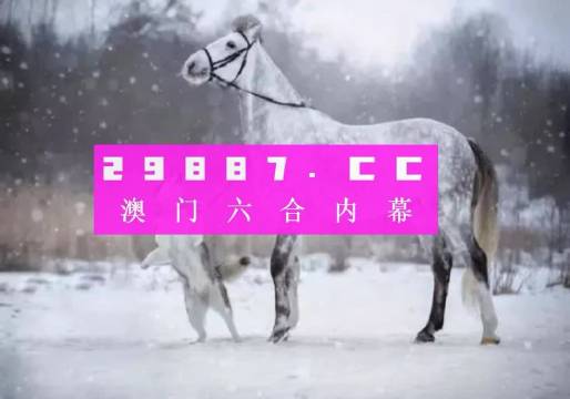 澳门精准一肖一码一一中-词语释义解释落实